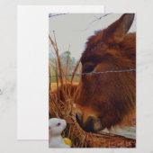 Papeterie Miniature cheval Brown et lapin de Pâques (Devant / Derrière)