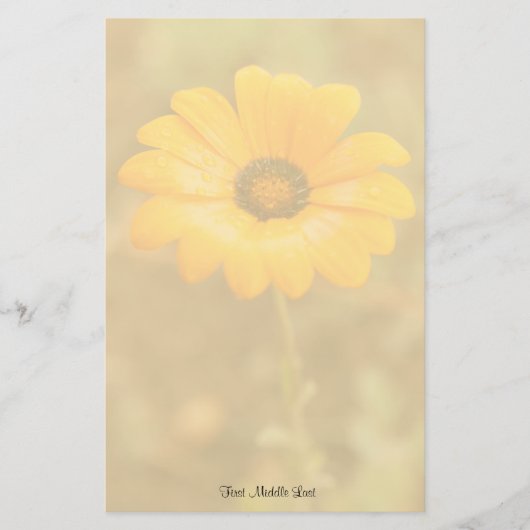 Papeterie Modèle photo de marguerite africaine Orange Spring (Devant)