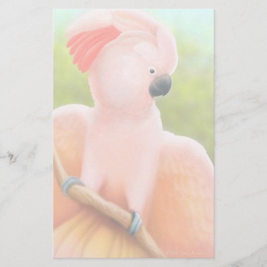 Papeterie moluquoise de cacatoès (Devant)