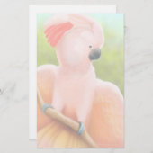 Papeterie moluquoise de cacatoès (Devant / Derrière)