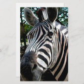 Papeterie Mon ami trippé (Devant / Derrière)