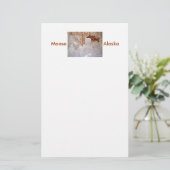 Papeterie Moose in Alaska Stationery (Debout devant)