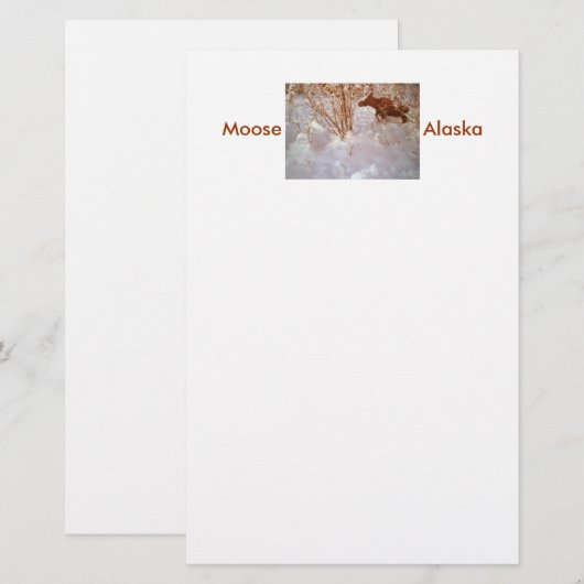 Papeterie Moose in Alaska Stationery (Devant / Derrière)