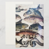 PAPETERIE MOSAÏQUES ROMAINES ANTIQUES, POISSONS, ESPACE DE V (Devant / Derrière)