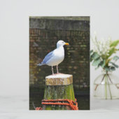 Papeterie Mouette (Debout devant)
