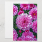 Papeterie Mums pourpres (Devant / Derrière)