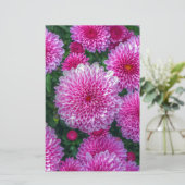 Papeterie Mums pourpres (Debout devant)