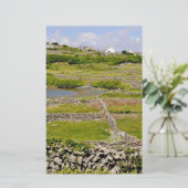 Papeterie Murs de pierre d'Irlande (Debout devant)