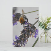 Papeterie Natures de merveilleux travailleurs (Debout devant)