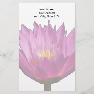 Papeterie Nénuphar pourpre Lotus