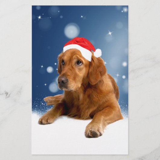 Papeterie Noël Mignonne Golden Retriever Chien Santa Hat Nei (Devant)