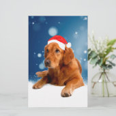 Papeterie Noël Mignonne Golden Retriever Chien Santa Hat Nei (Debout devant)