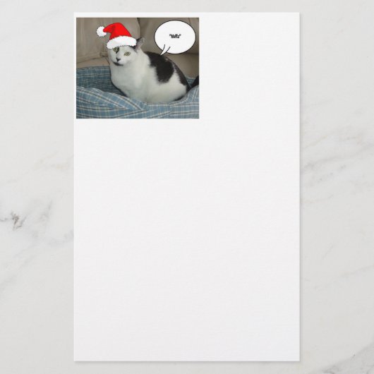 Papeterie Noël noir et blanc Kitten (Devant)