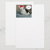 Papeterie Noël noir et blanc Kitten (Devant / Derrière)