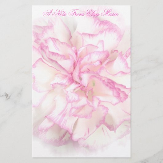 Papeterie Oeillet mol stationnaire (Devant)