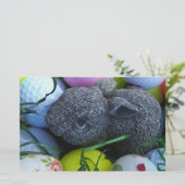 Papeterie Oeufs de Pâques, Ballons de golf de lapin (Debout devant)