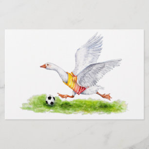 Papeterie Oie de football