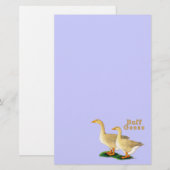 Papeterie Oies : Buffs américains (Devant / Derrière)