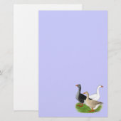 Papeterie Oies : Trio Tufted (Devant / Derrière)