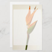 Papeterie Oiseau de fleur de paradis (Devant / Derrière)