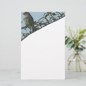 Papeterie Oiseau sur la branche (Debout devant)