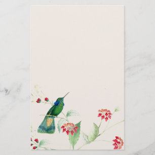 Papeterie Oiseaux de colibri Fleurs Animaux de la faune de l