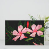 Papeterie Oleander (Debout devant)