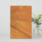 Papeterie orange fizzé (Debout devant)