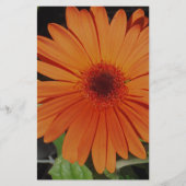 Papeterie Orange Gerber gerbera Daisy daisie (Devant)