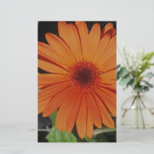 Papeterie Orange Gerber gerbera Daisy daisie (Debout devant)