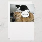 Papeterie Orange Tabby Cat Je suis désolé (Devant / Derrière)