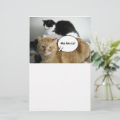 Papeterie Orange Tabby Cat Je suis désolé (Debout devant)