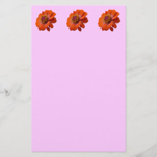 Papeterie Orange Zinnia Fleur sauvage Nature Florale