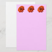 Papeterie Orange Zinnia Fleur sauvage Nature Florale (Devant / Derrière)