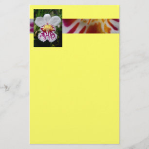 Papeterie Orchidée