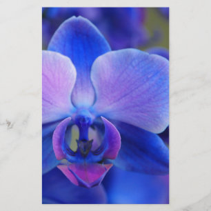 Papeterie Orchidée bleue et rose