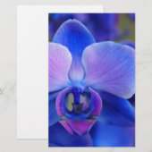 Papeterie Orchidée bleue et rose (Devant / Derrière)