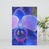 Papeterie Orchidée bleue et rose (Debout devant)