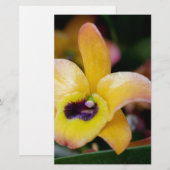 Papeterie Orchidée du coucher de soleil (Devant / Derrière)