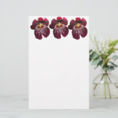 Papeterie Orchidées Marron II Élégante Florale (Debout devant)