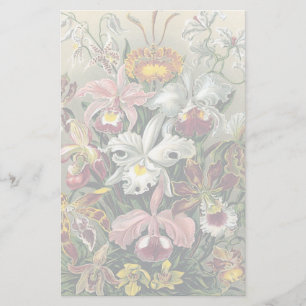 Papeterie Orchidées par Ernst Haeckel