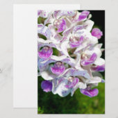 Papeterie Orchidées violettes et blanches (Devant / Derrière)