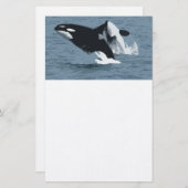 Papeterie Orka Whale (Devant / Derrière)