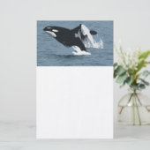 Papeterie Orka Whale (Debout devant)