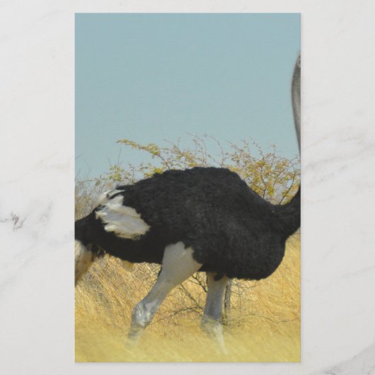 Papeterie Ostrige pour courir (Devant)