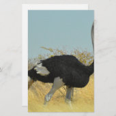 Papeterie Ostrige pour courir (Devant / Derrière)