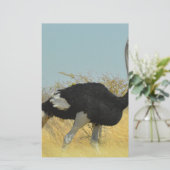 Papeterie Ostrige pour courir (Debout devant)