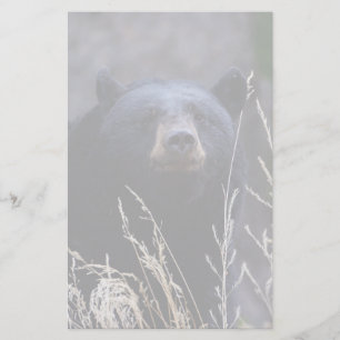 Papeterie ours
