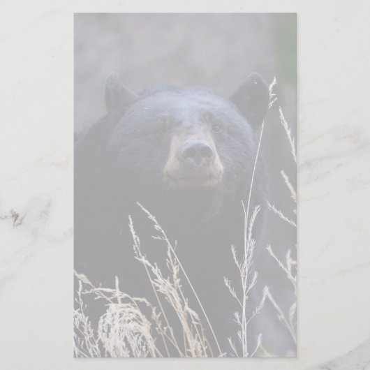 Papeterie ours (Devant)