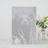 Papeterie ours (Debout devant)